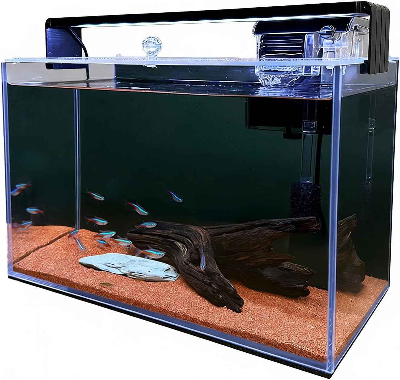 3.2 Gallon Nano Nature Aquariu - Aquarium Fish Betta recension och pris