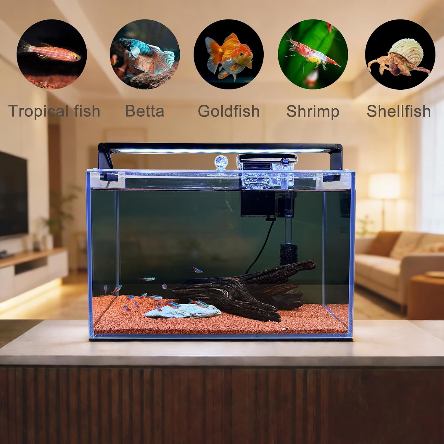 3.2 Gallon Nano Nature Aquariu - Aquarium Fish Betta recension och pris