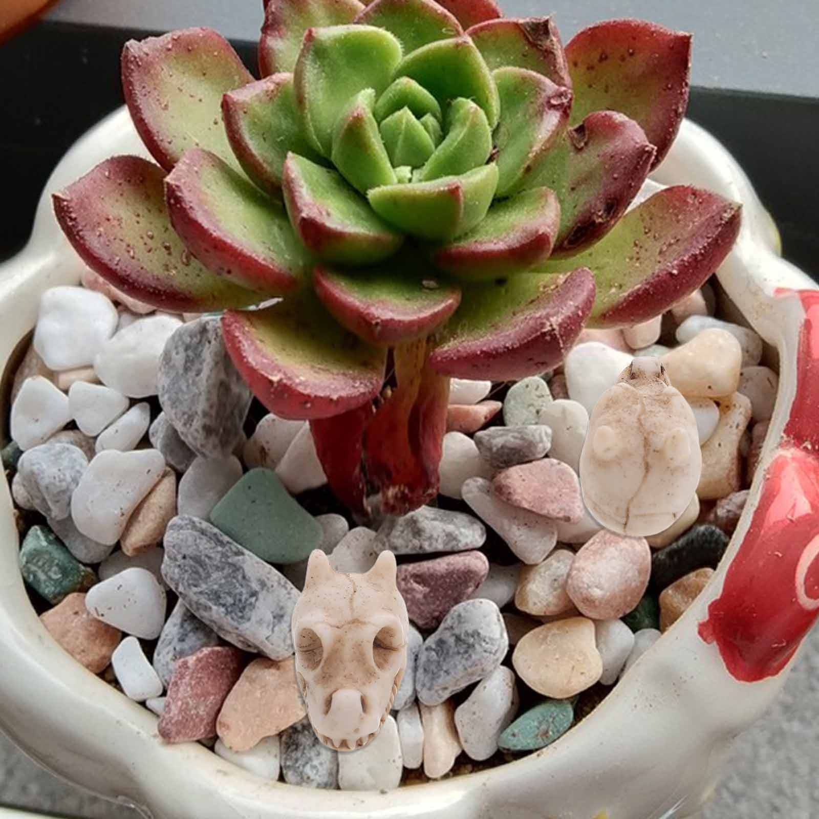 20pcs Mini Dragon Skull Resin  - Aquarium Decor recension och pris