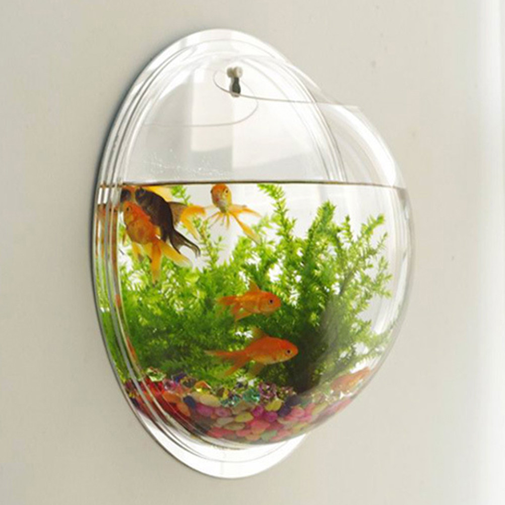 Wall-Mounted Acrylic Fish Bowl - Aquarium Fish Betta recension och pris