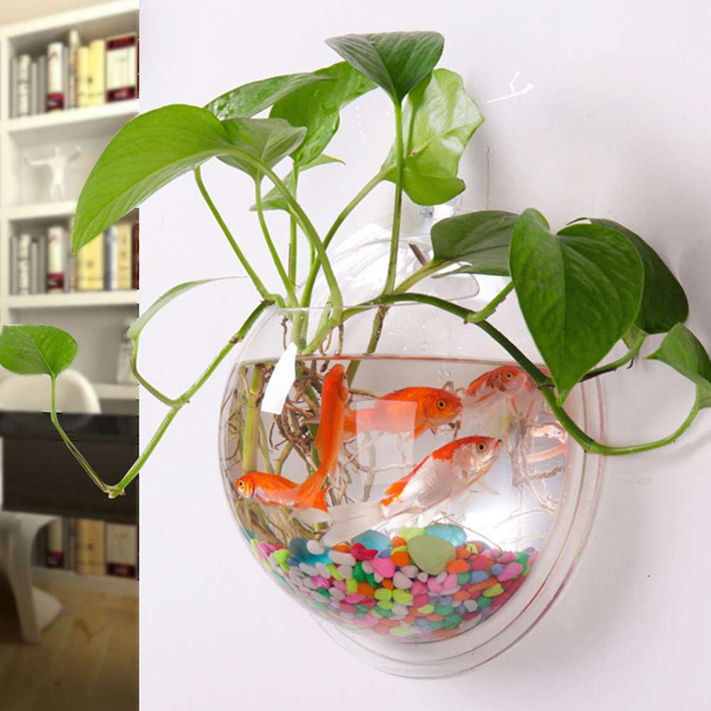 Wall-Mounted Acrylic Fish Bowl - Aquarium Fish Betta recension och pris