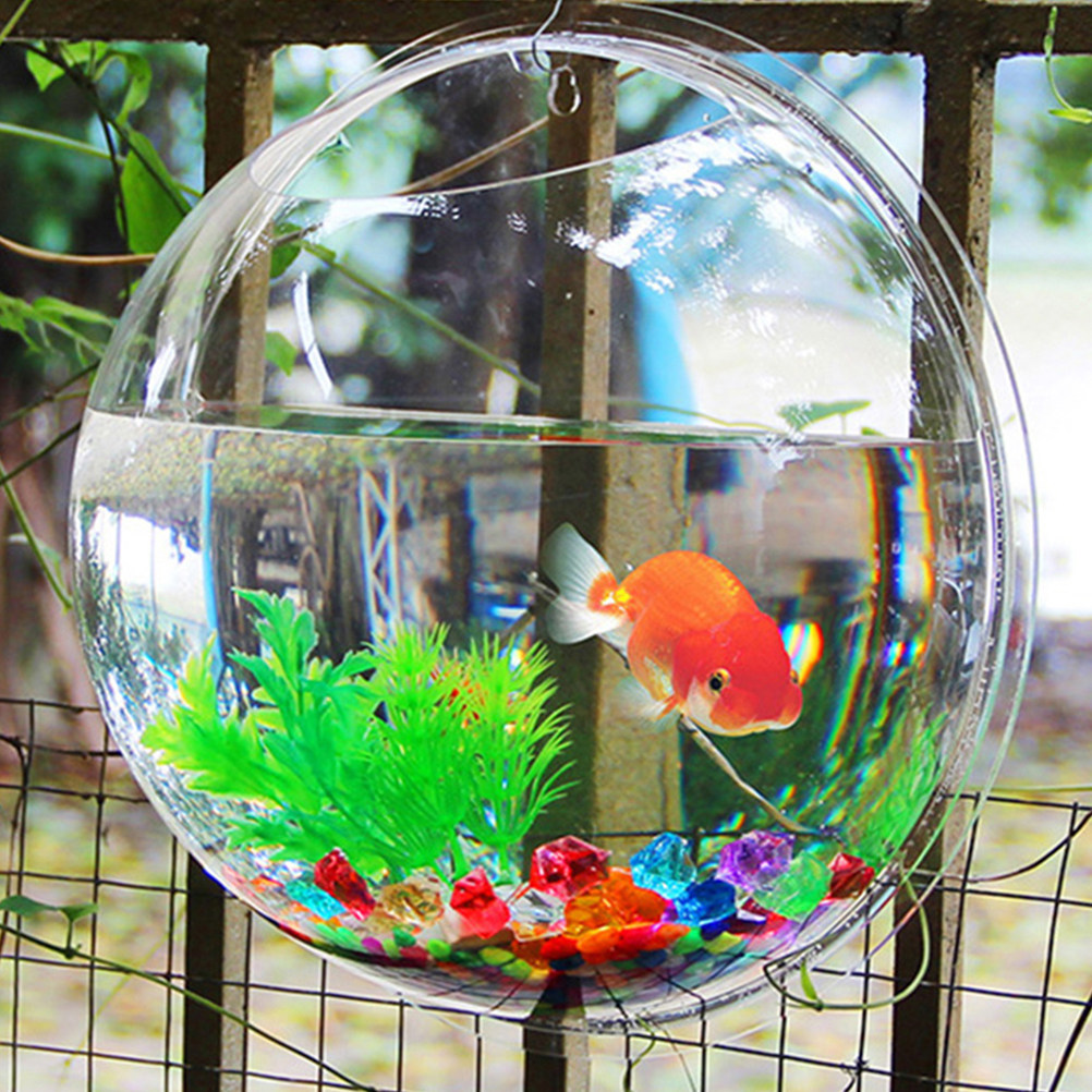 Wall-Mounted Acrylic Fish Bowl - Aquarium Fish Betta recension och pris