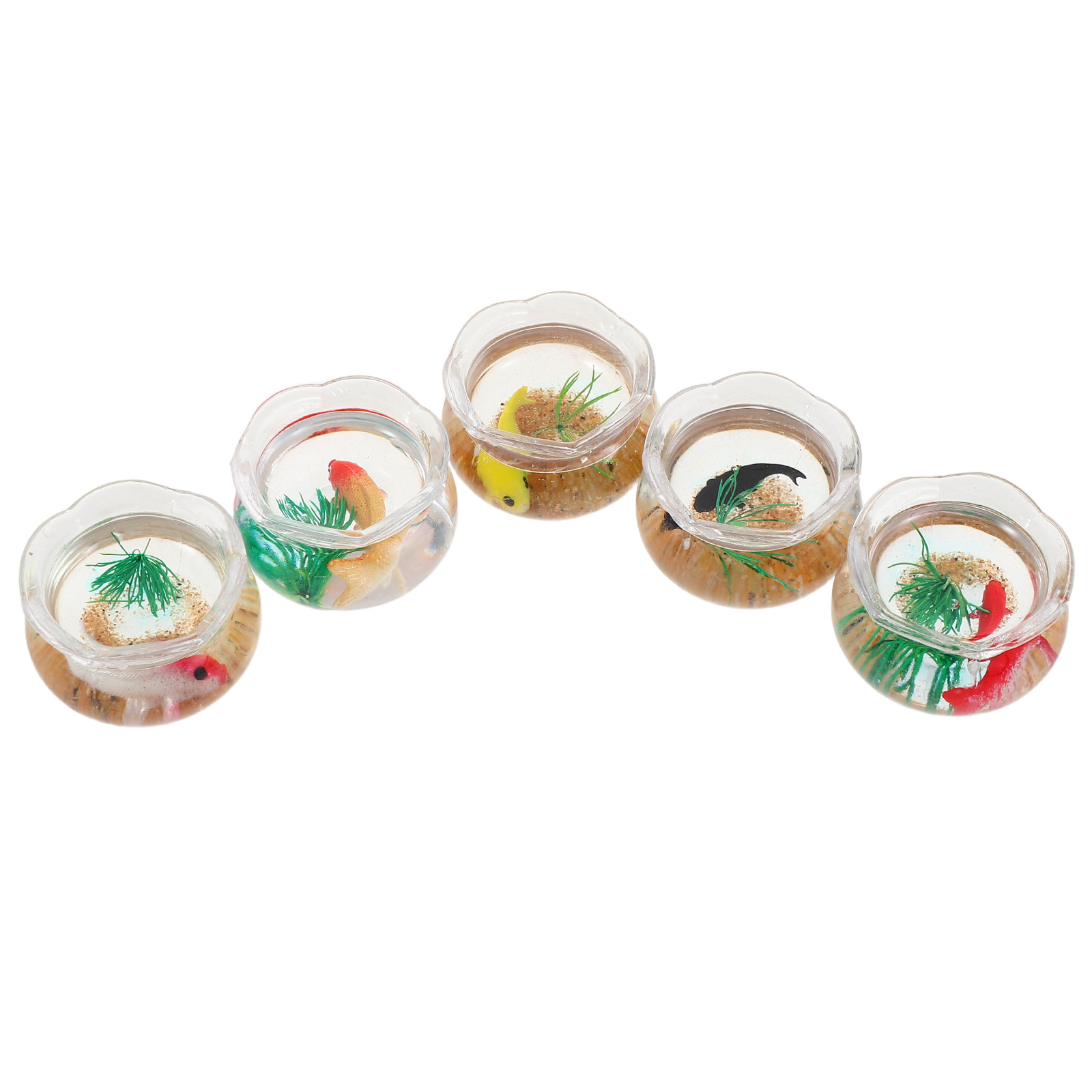 5pcs Mini Koi Fish Tank Set –  - Aquarium Plants recension och pris