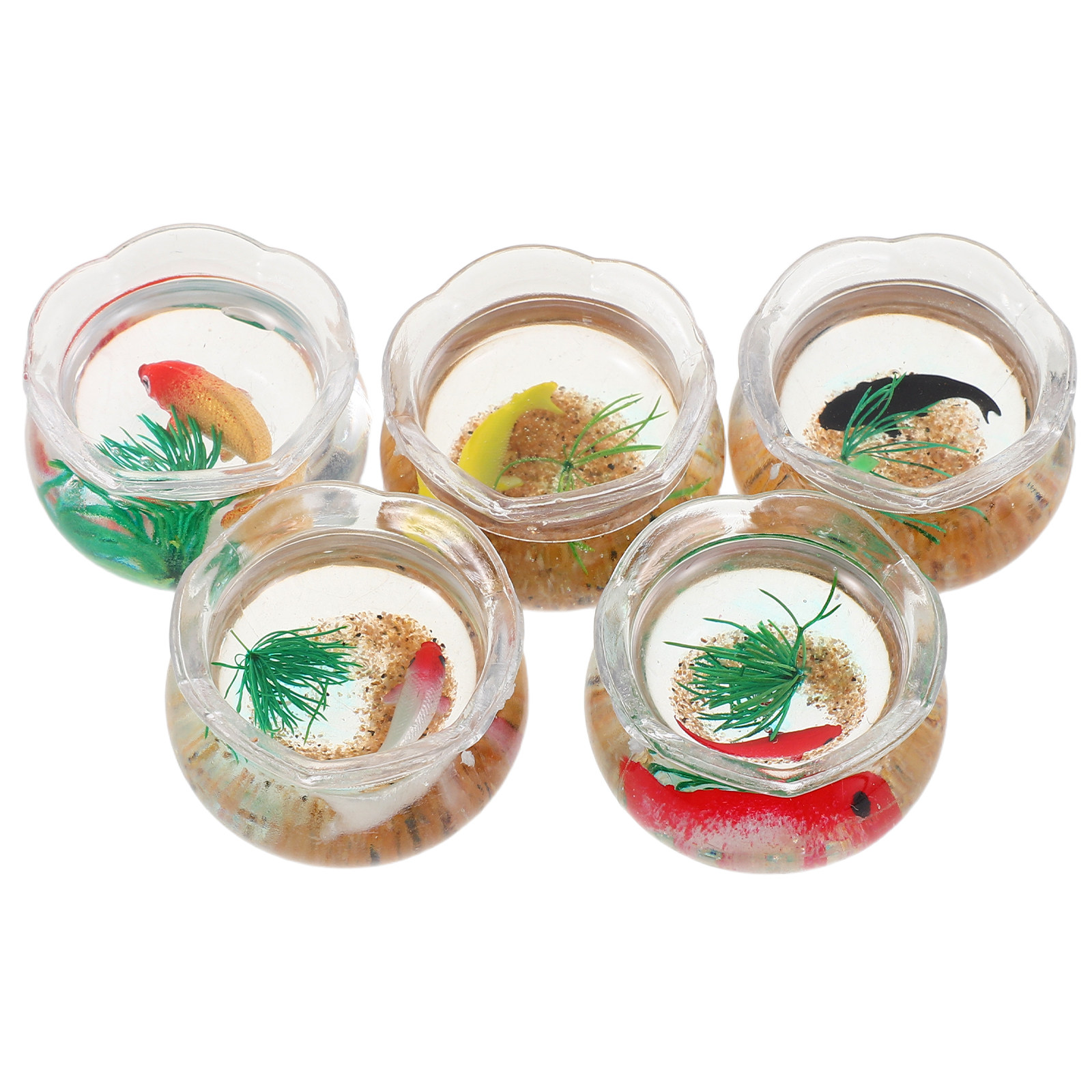 5pcs Mini Koi Fish Tank Set –  - Aquarium Plants recension och pris